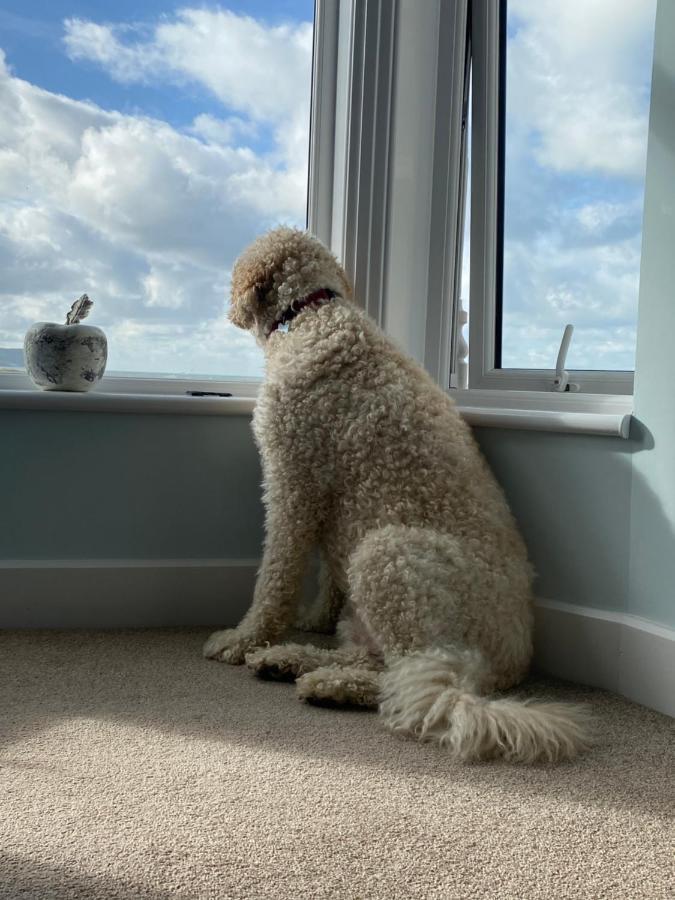 Bed and Breakfast Oceandrive Barmouth Esterno foto