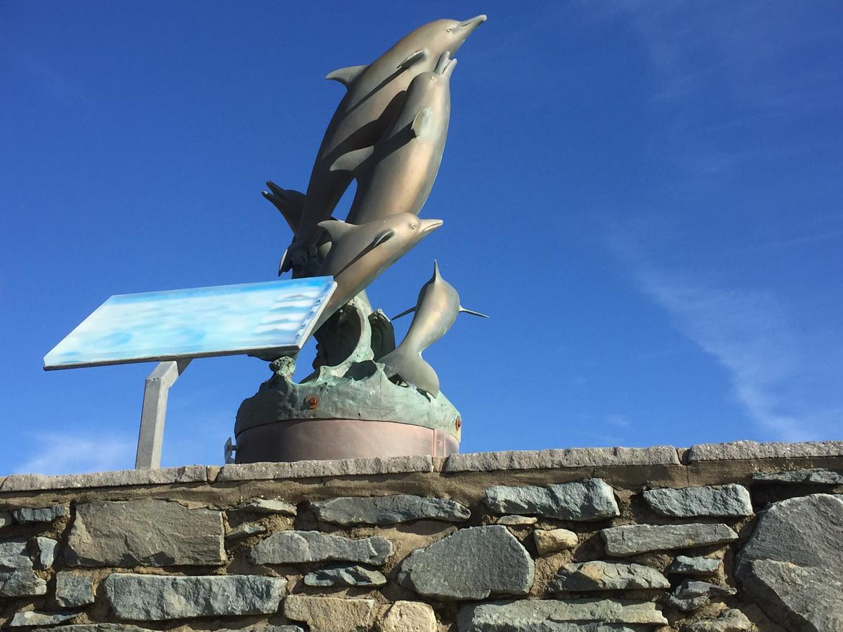Bed and Breakfast Oceandrive Barmouth Esterno foto